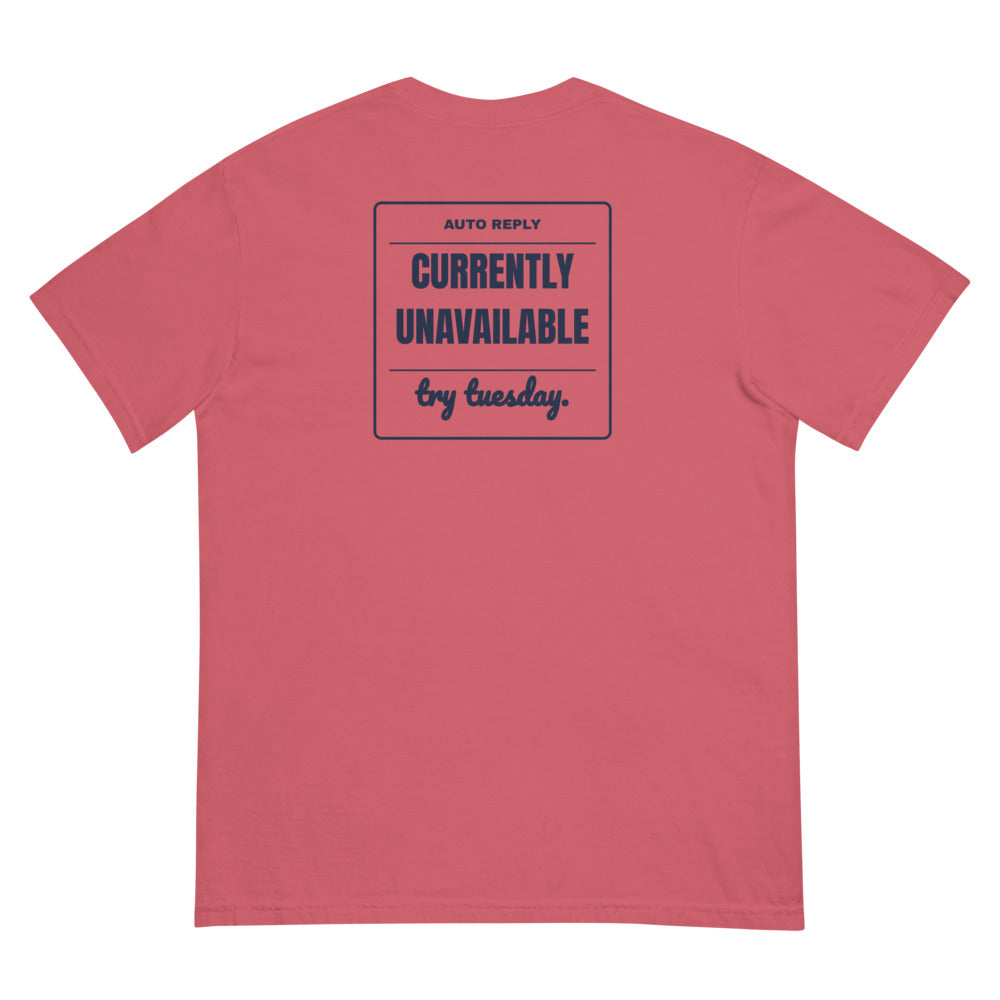 The Try Tuesday Tee in Watermelon, back with the auto reply print