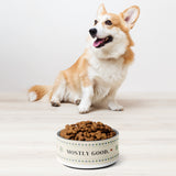 A corgi sitting by the 32 oz bowl