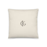 The Couch Potential Pillow, product shot