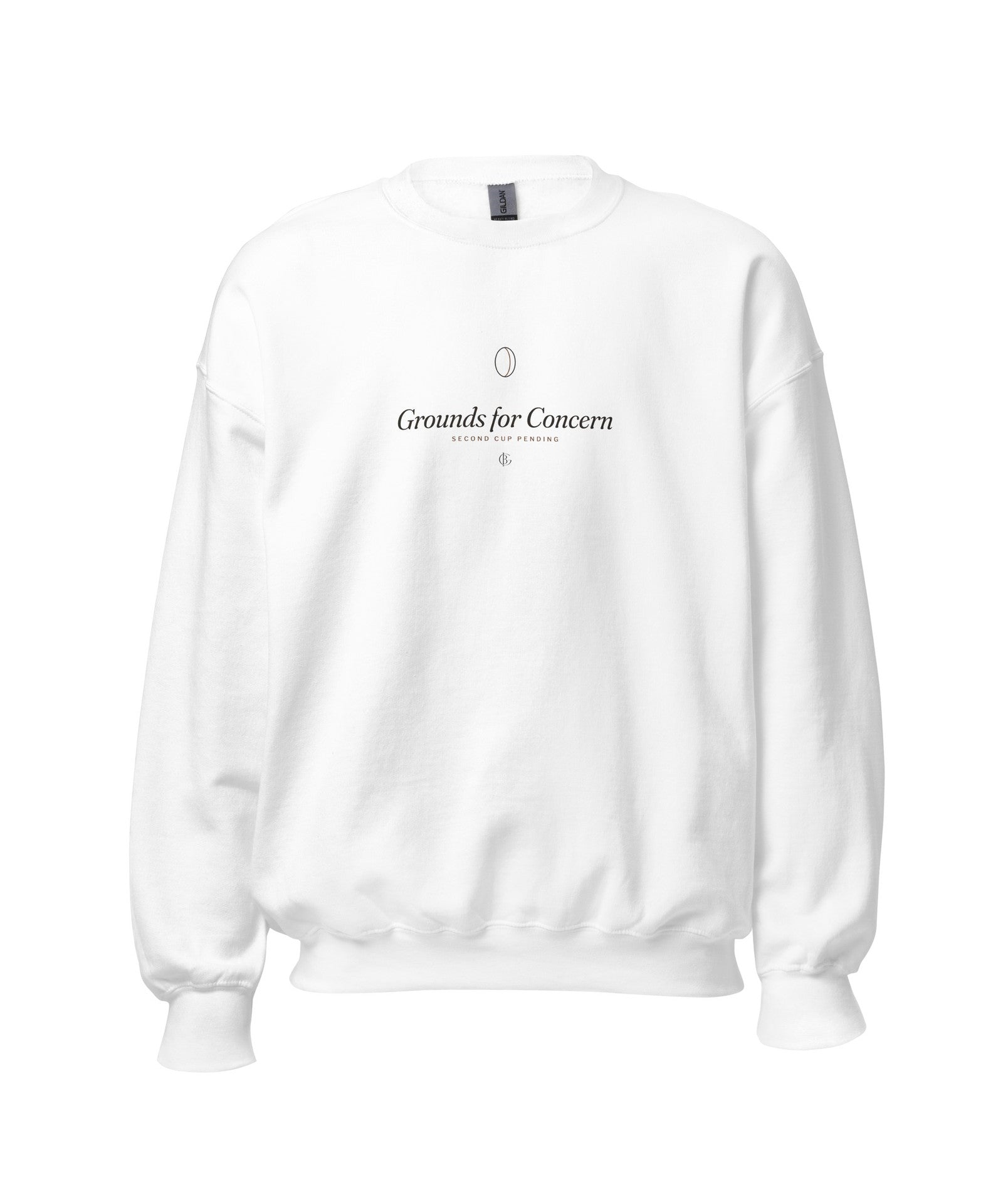 The Grounds for Concern Crewneck in White, product shot
