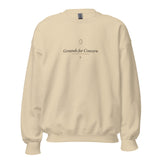The Grounds for Concern Crewneck in Sand, product shot