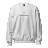 The Grounds for Concern Crewneck in Ash, product shot