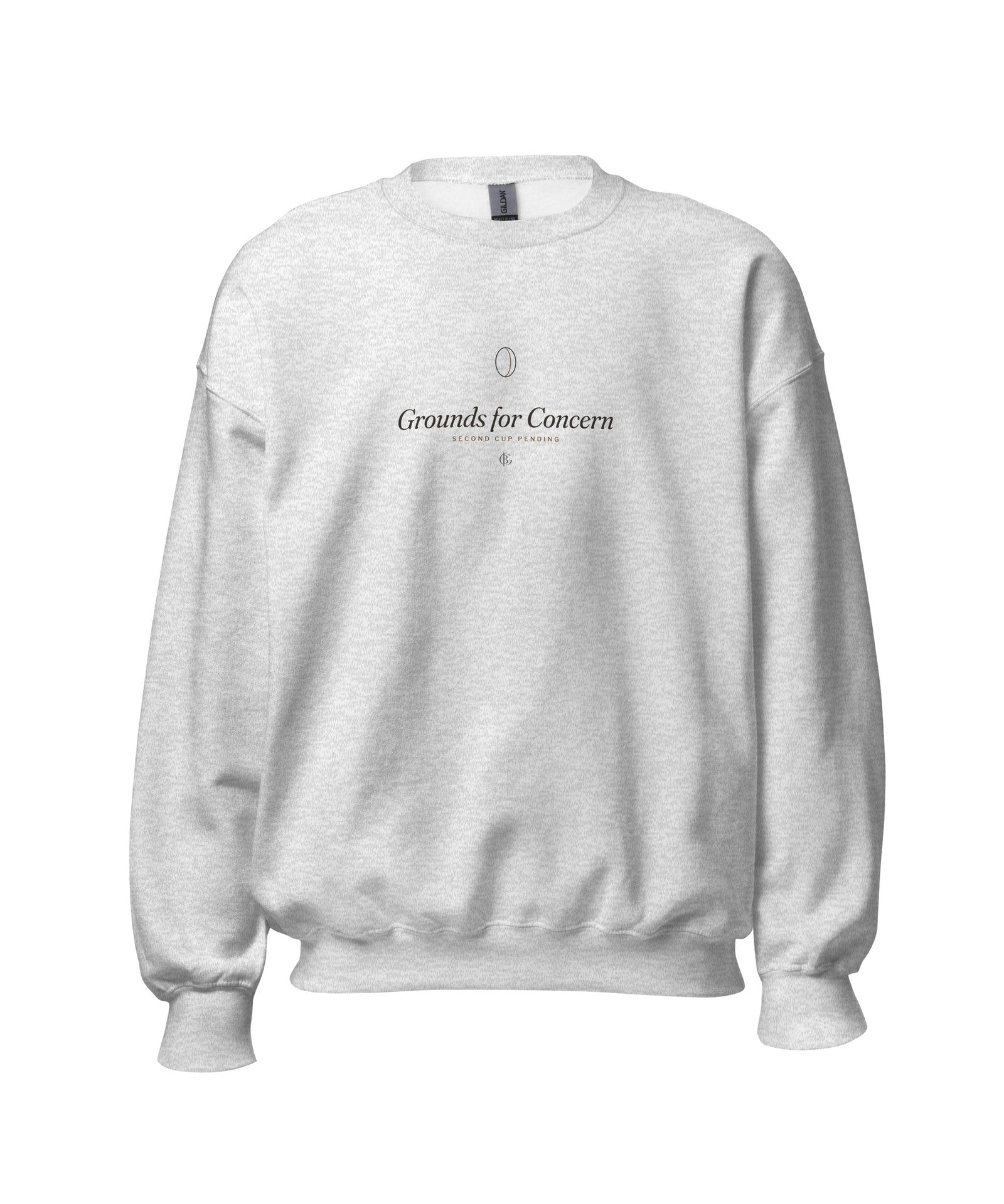 The Grounds for Concern Crewneck in Ash, product shot