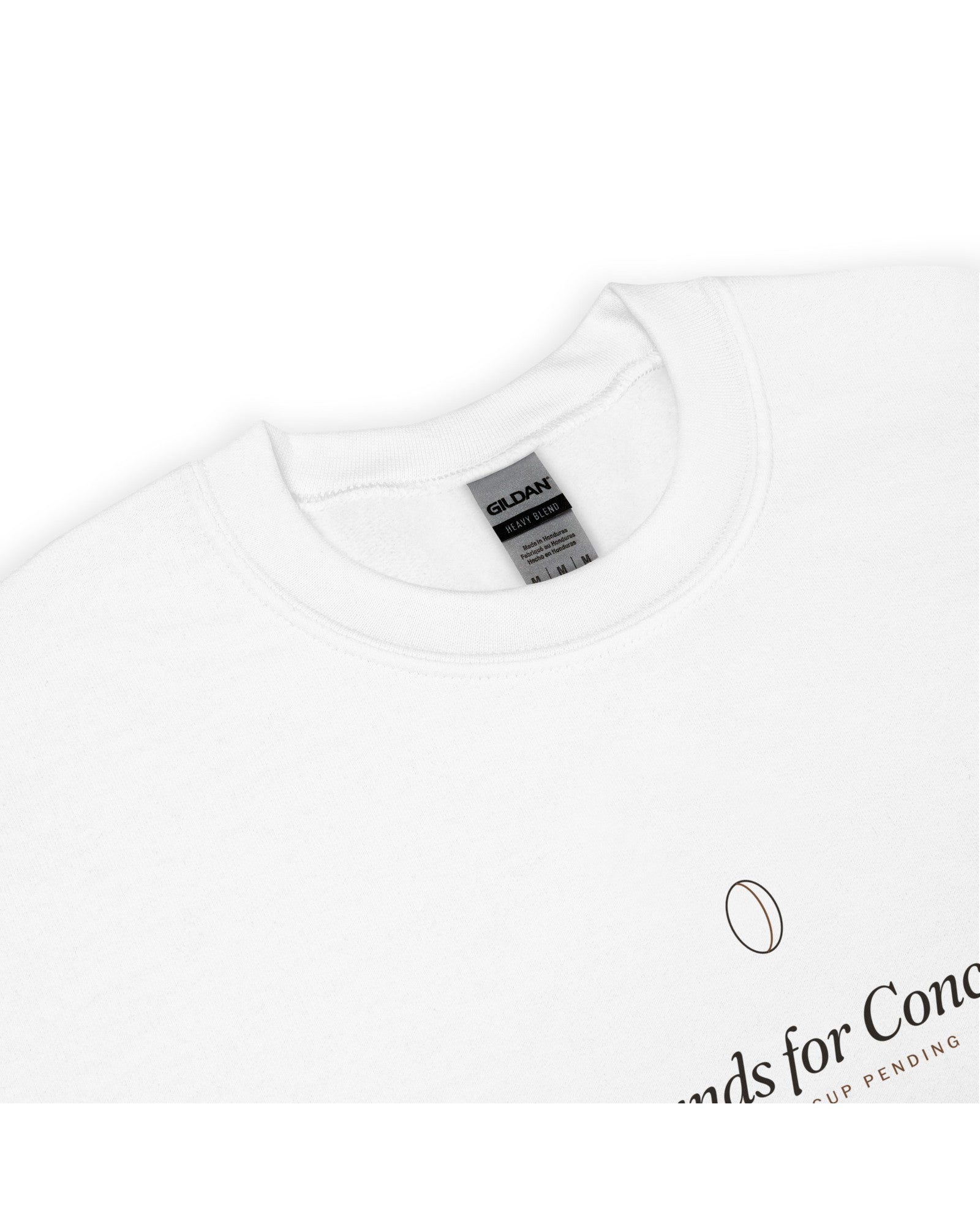 The Grounds for Concern Crewneck in White, detail shot