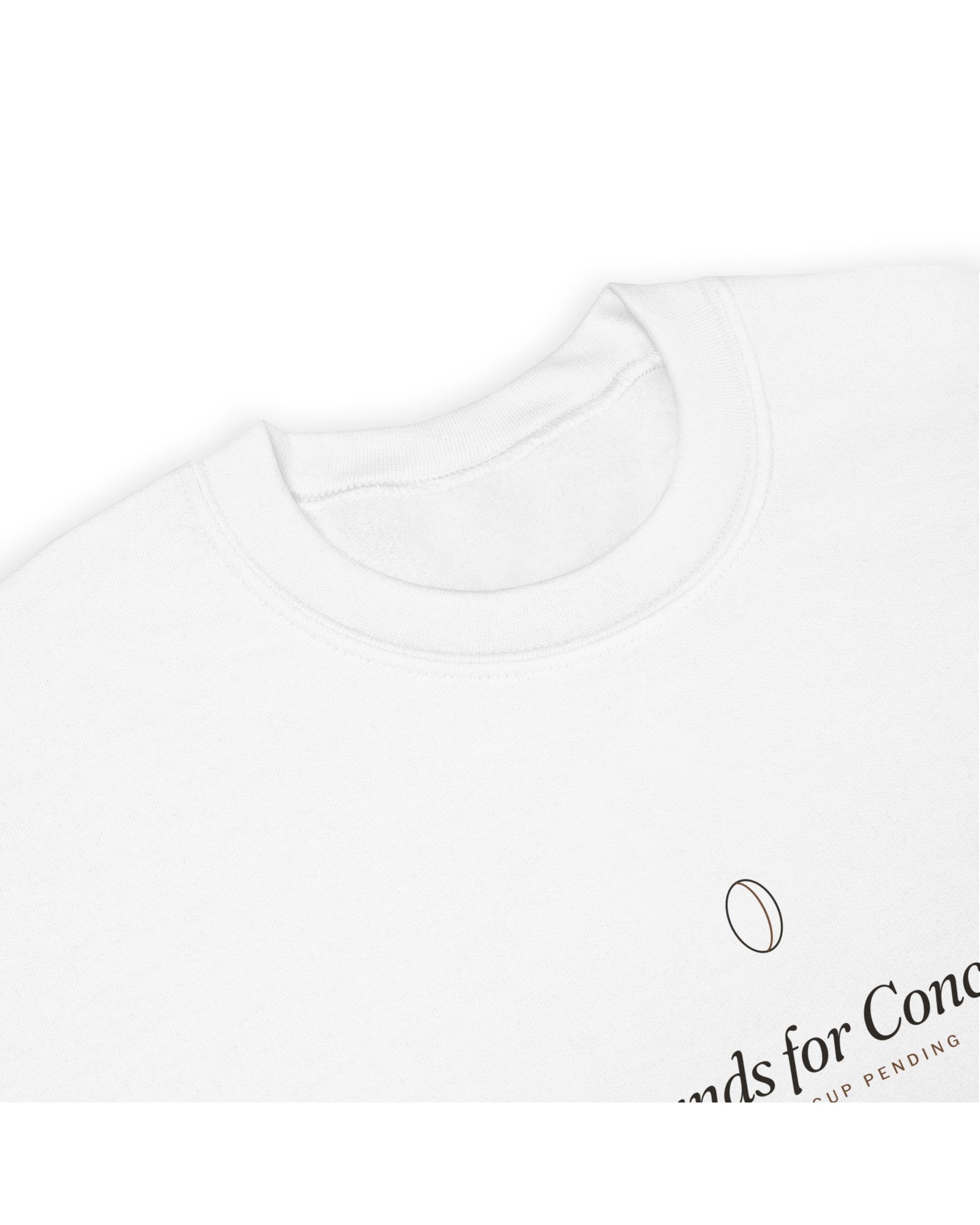 The Grounds for Concern Crewneck in White, detail shot