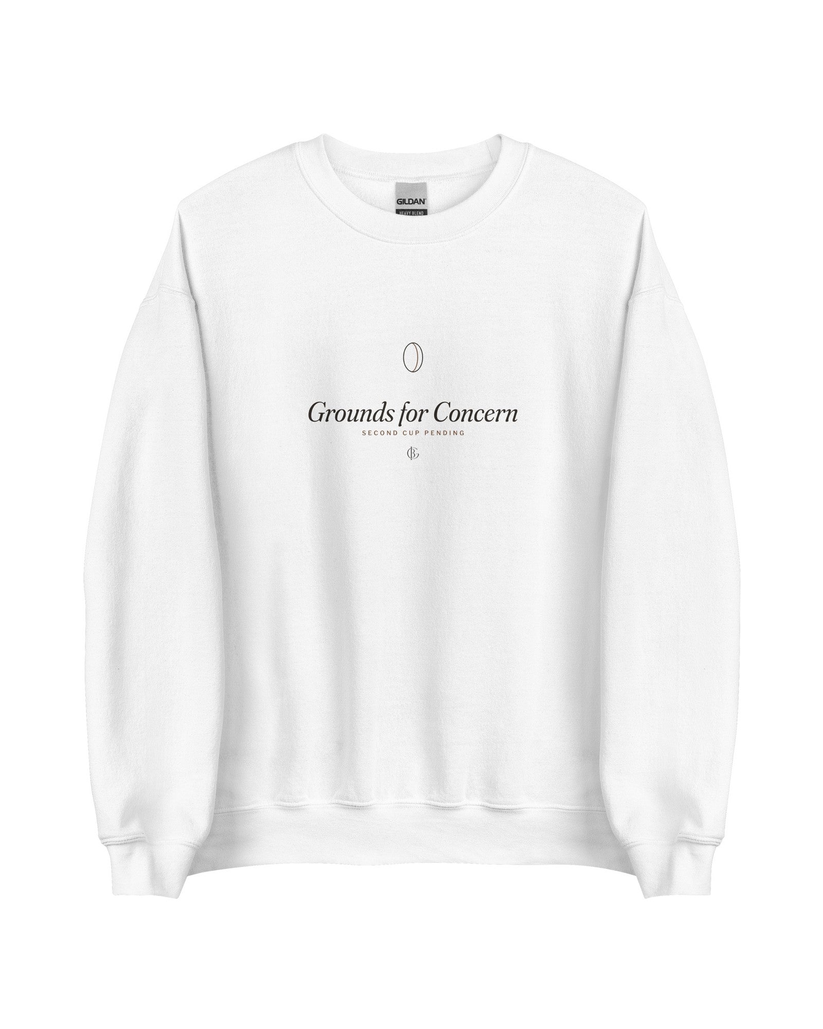 The Grounds for Concern Crewneck in White, flat 2