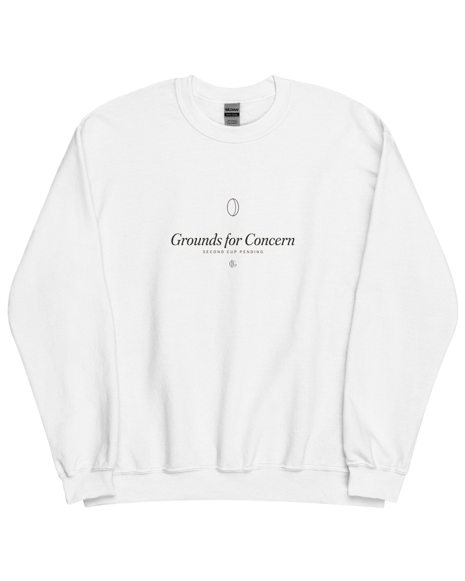 The Grounds for Concern Crewneck in White, flat 3