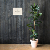 The Living Room Print, styled lifestyle shot