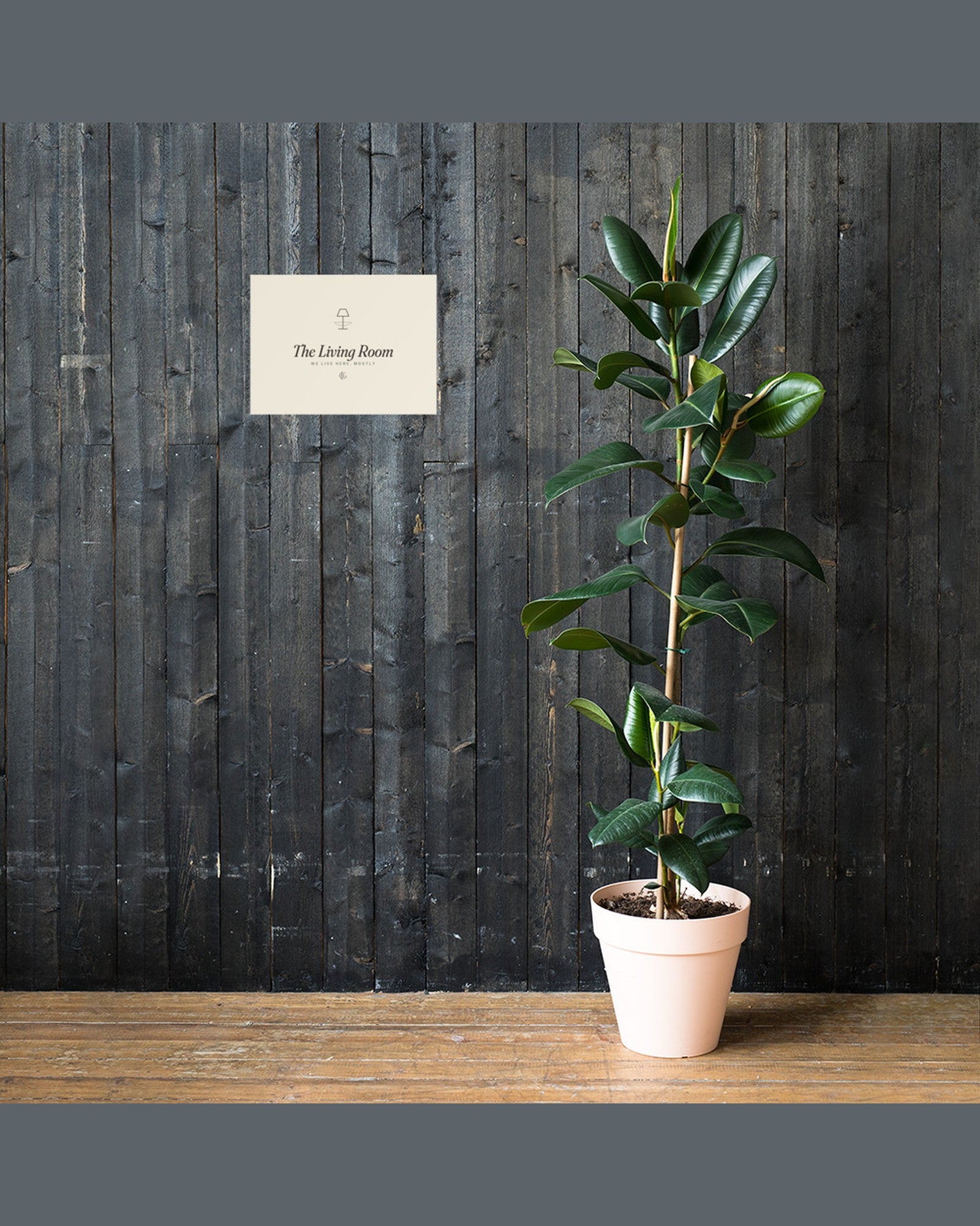 The Living Room Print, styled lifestyle shot