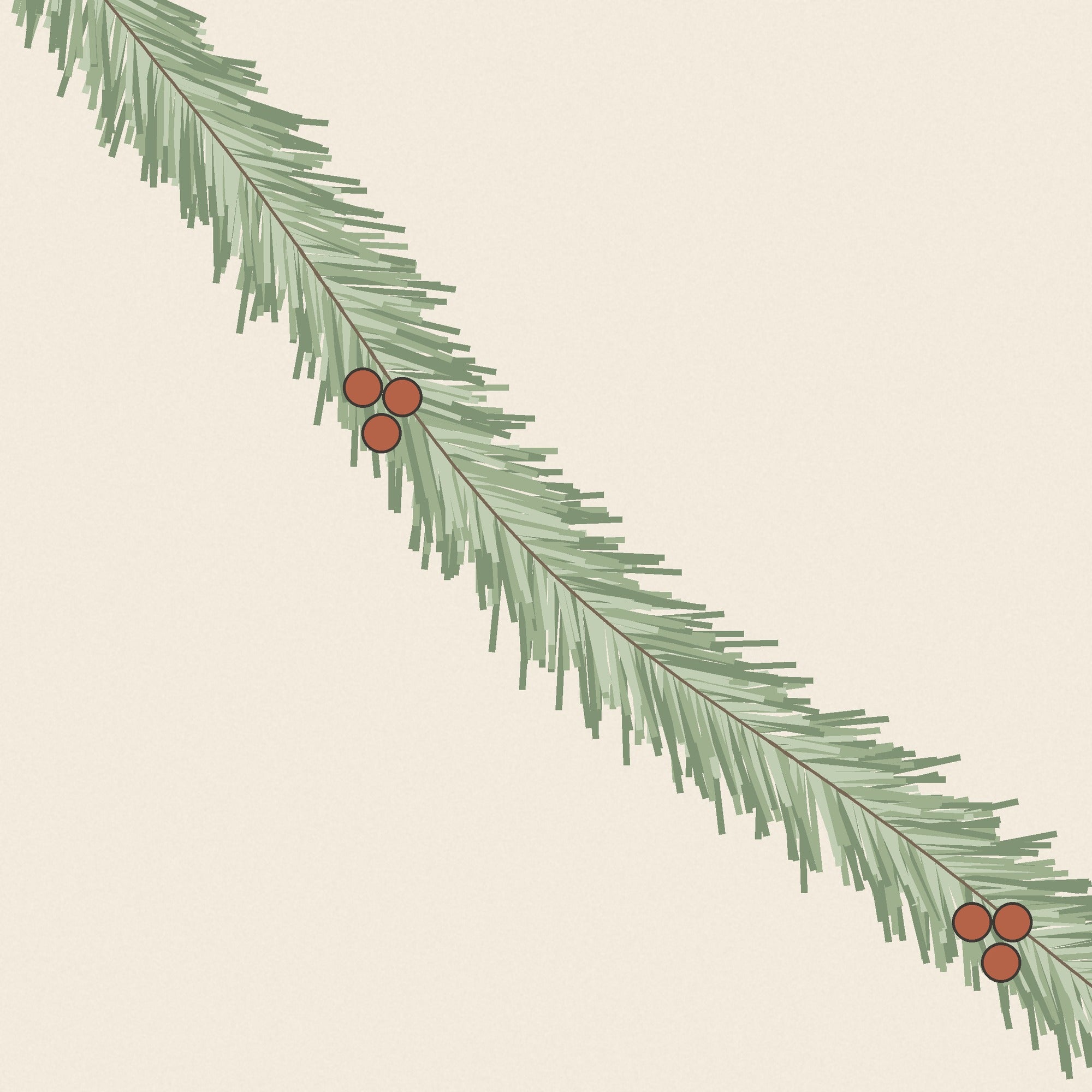 Close up of the hand drawn pine garland with terracotta berries